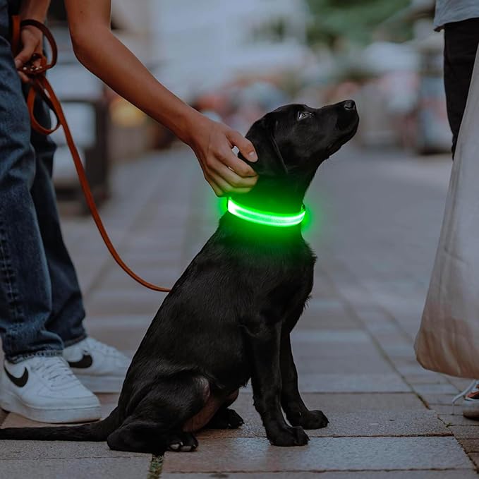 Luminous LED Dog Collar